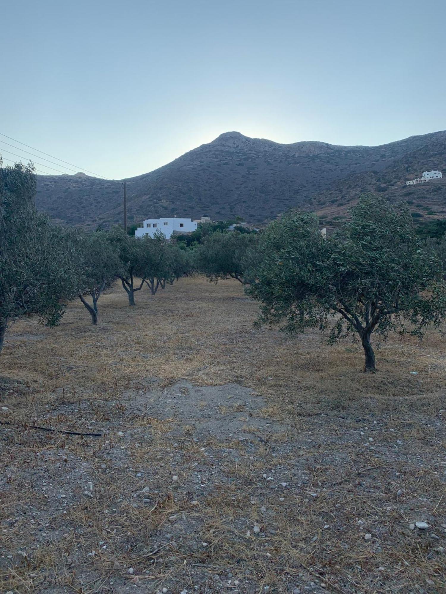 Maison Grecque Style Hacienda Villa Chora  Dış mekan fotoğraf